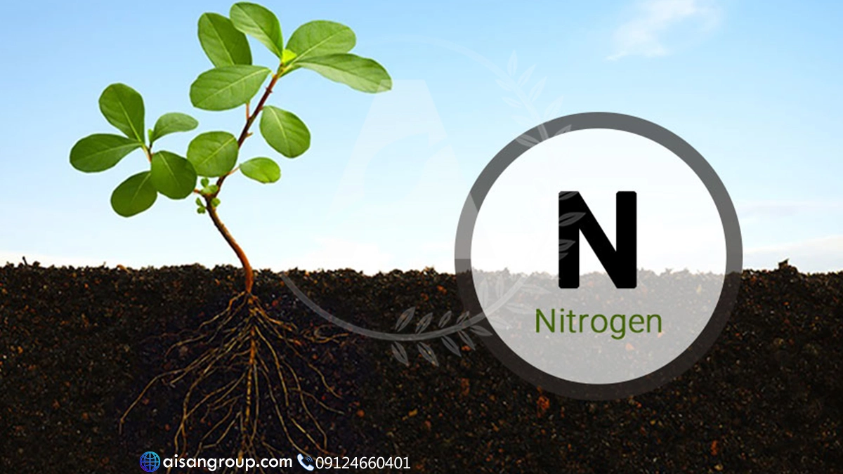 نحوه آزاد شدن نیتروژن کود در خاک
