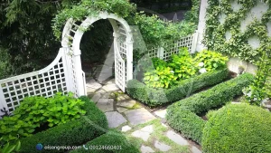 طراحی و اجرای فضای سبز در تهراندشت