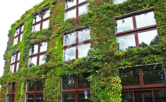 دیوار های سبز از انواع و اقسام فضاهای سبز