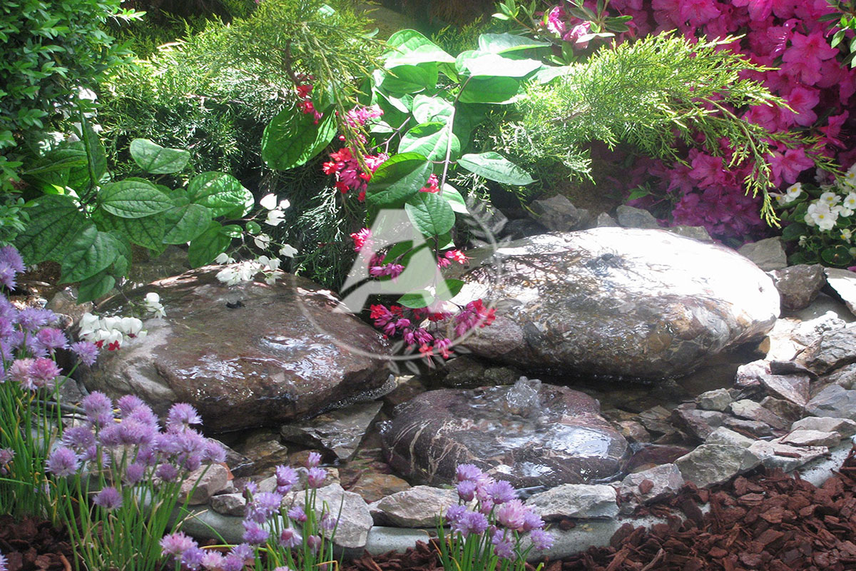 گیاهان مناسب برای باغ صخره ای