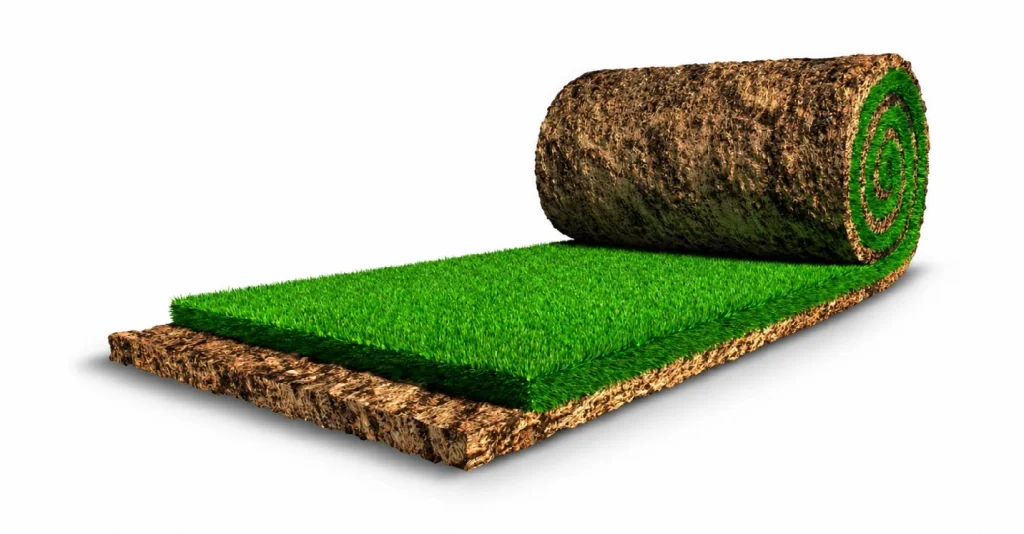 چمن